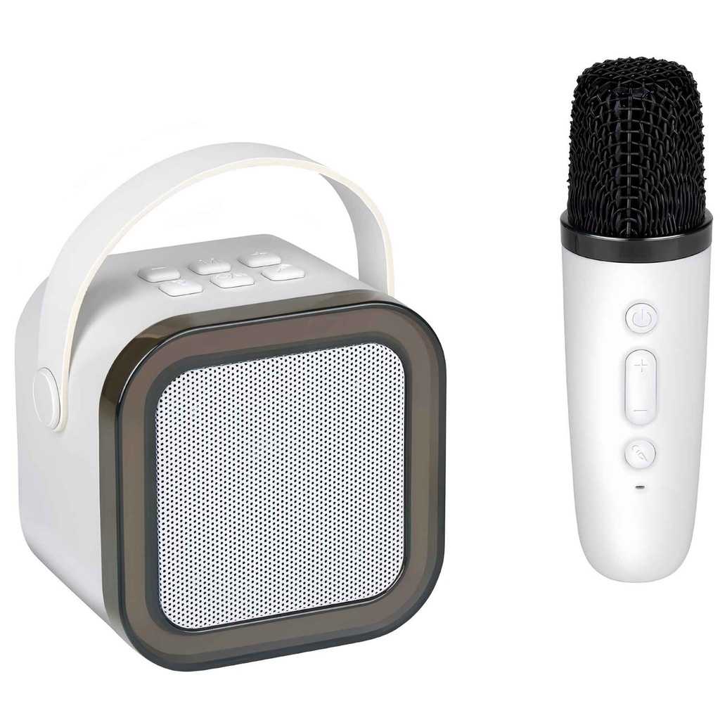 Wireless Mini Karaoke Speaker 5W speaker & mic.jpg
