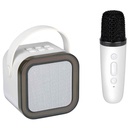 Wireless Mini Karaoke Speaker 5W speaker & mic.jpg
