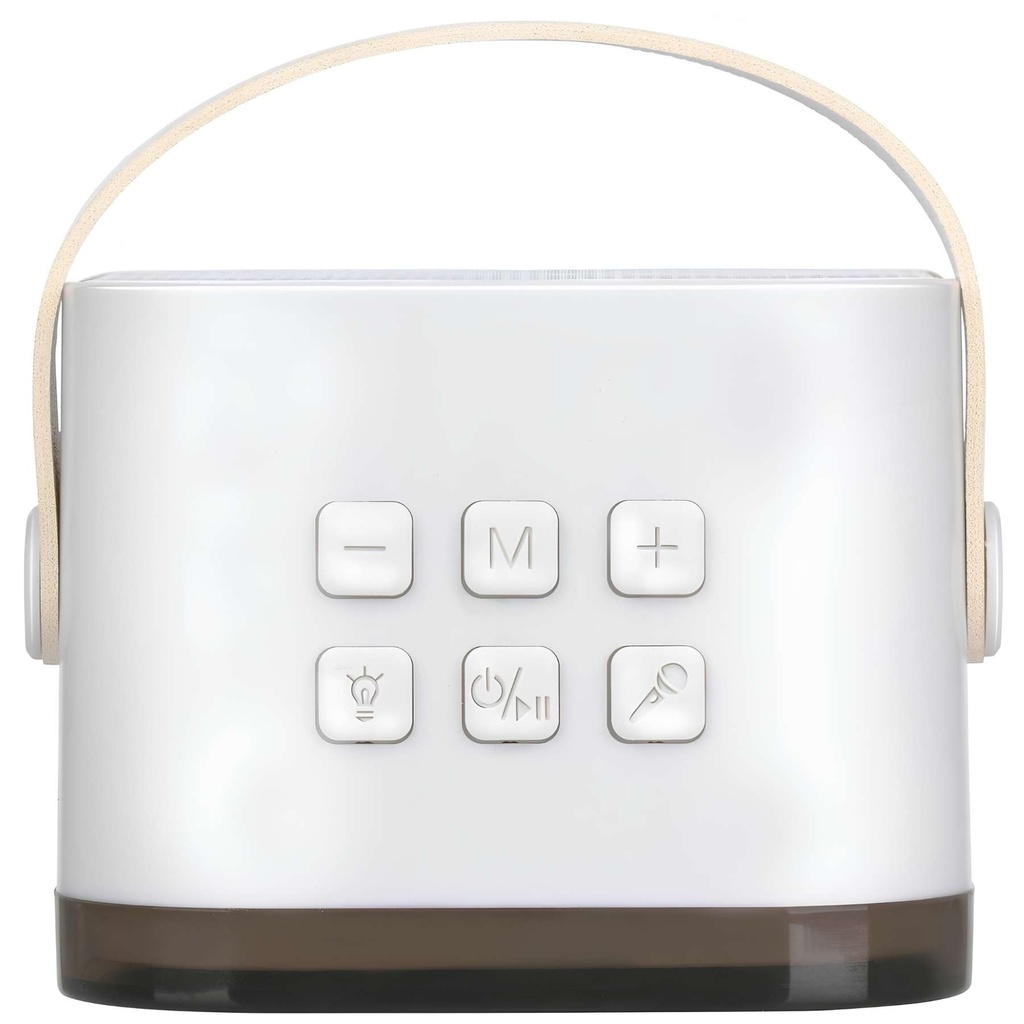 Wireless Mini Karaoke Speaker 5W speaker.jpg
