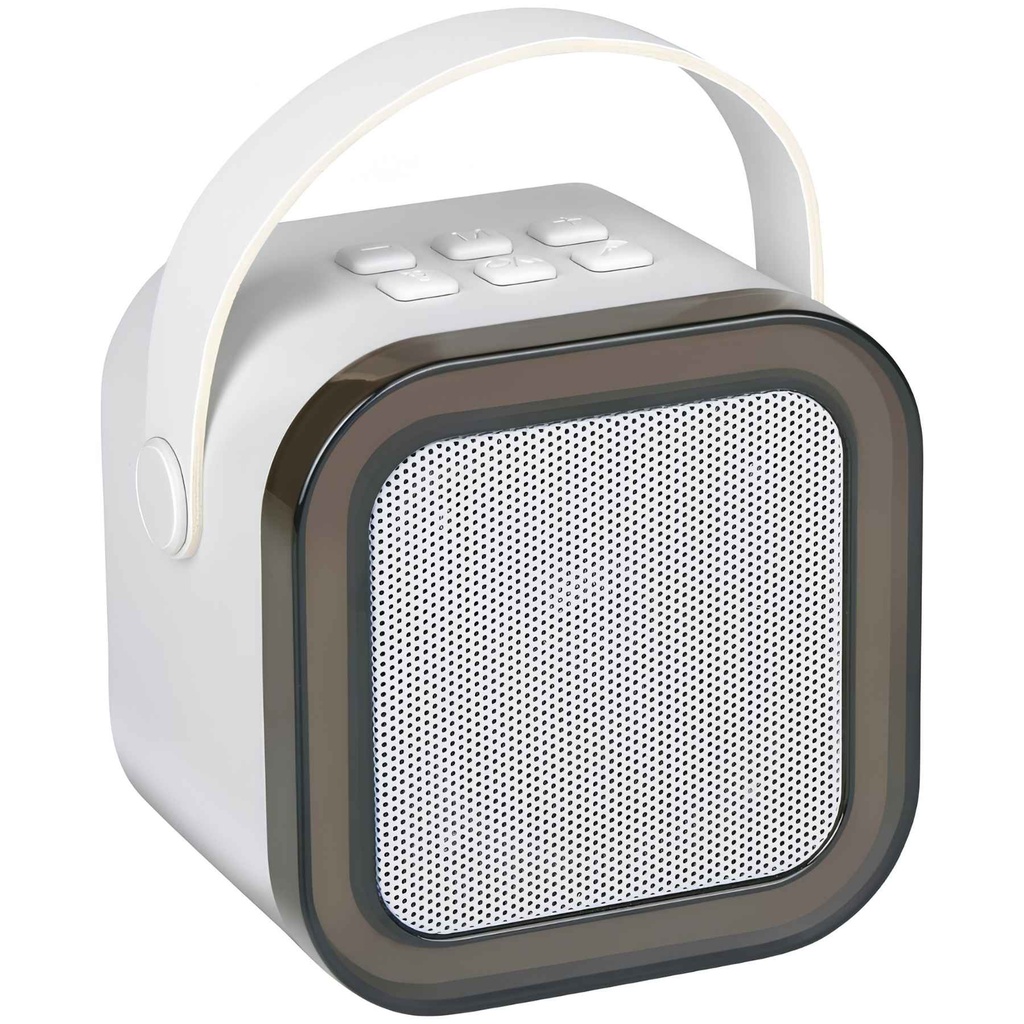 Wireless Mini Karaoke Speaker 5W speaker front.jpg