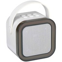 Wireless Mini Karaoke Speaker 5W speaker front.jpg