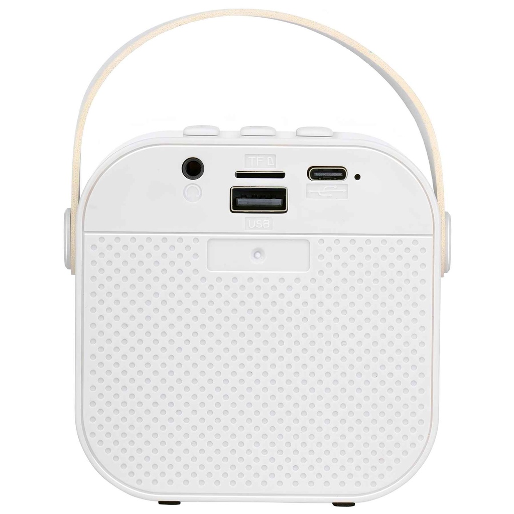 Wireless Mini Karaoke Speaker 5W speaker back.jpg