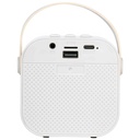 Wireless Mini Karaoke Speaker 5W speaker back.jpg