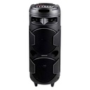 DUNLOP Portable bluetooth speaker 40W front.jpg