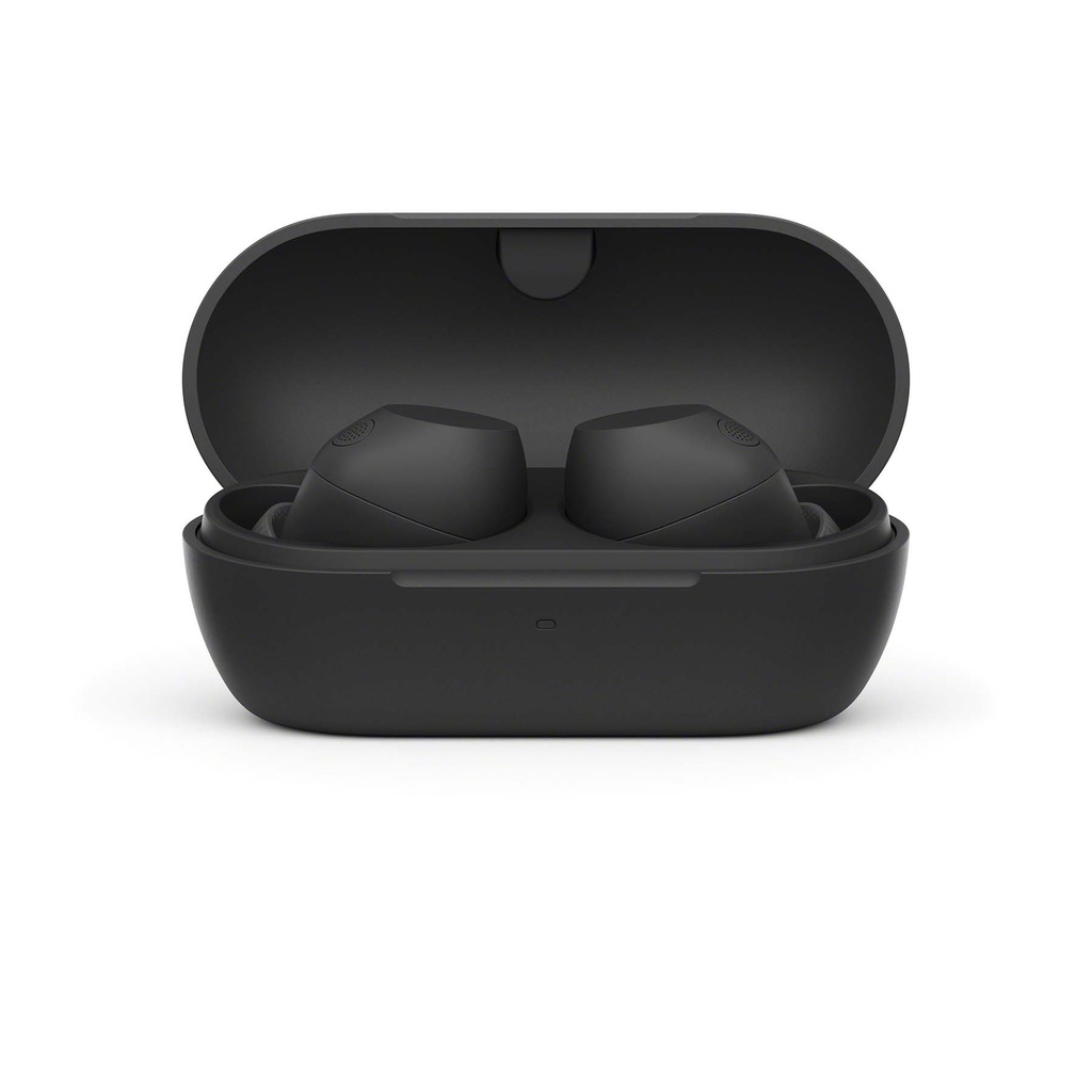 Sony-WF-C710-Wireless-Earbuds-black-3-klein.jpg