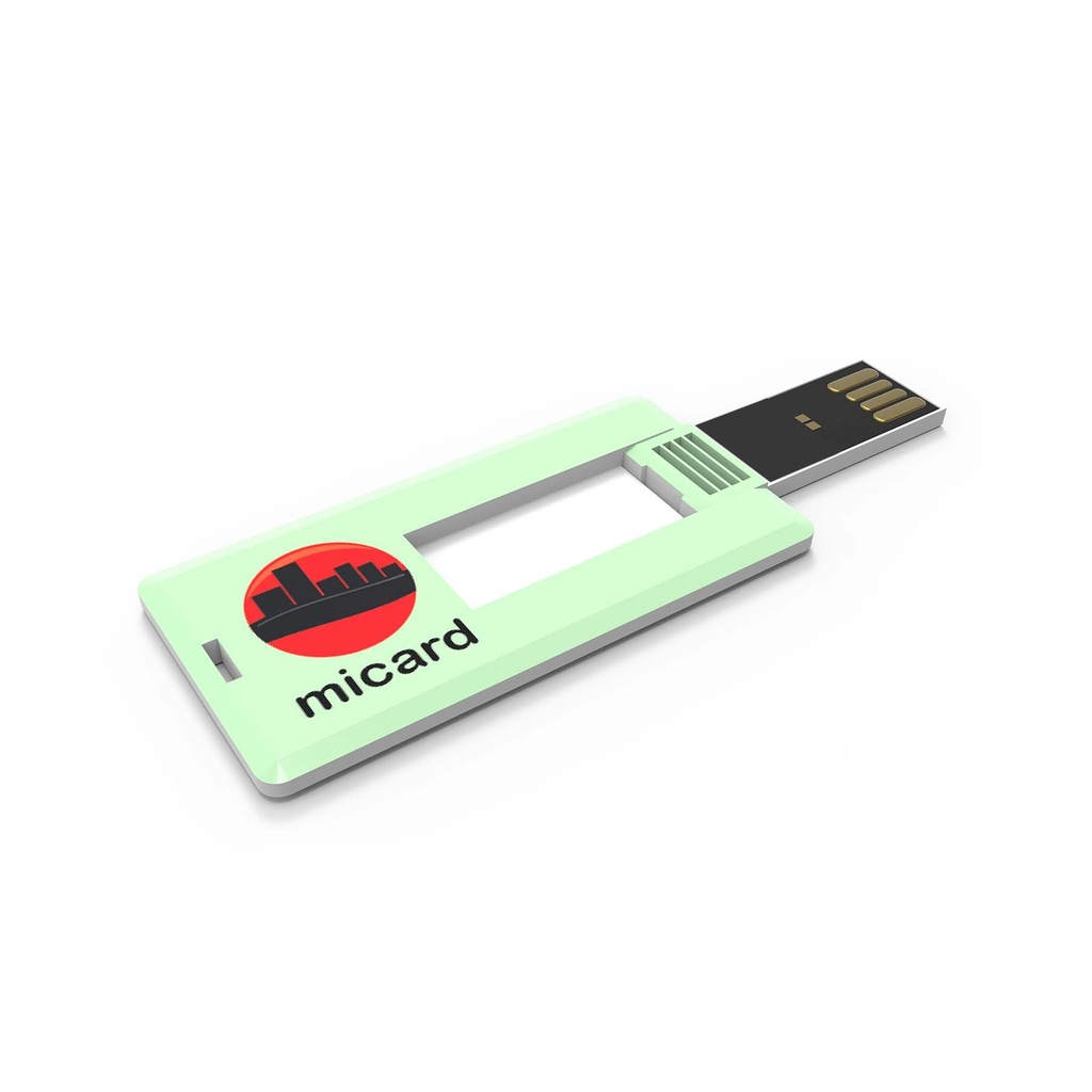 USB Stick Mini Card (Wit, 4GB 2.0, Geen gegevensupload, Geen personalisatie voorzijde, Geen individuele personalisatie voorzijde, Geen personalisatie achterzijde, Geen accessoire, Geen accessoire bevestigd, Geen verpakking, Geen professionele hulp bij opmaak)
