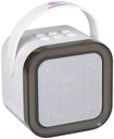 Wireless Mini Karaoke Speaker 5W